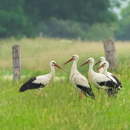 Urlaub Im Historischen Torschreiberhaus Casa de Férias Xanten