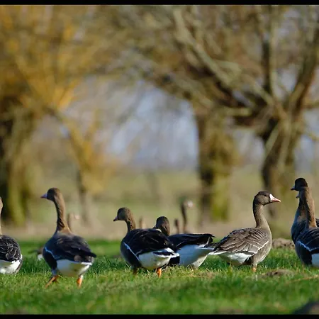 Urlaub Im Historischen Torschreiberhaus *