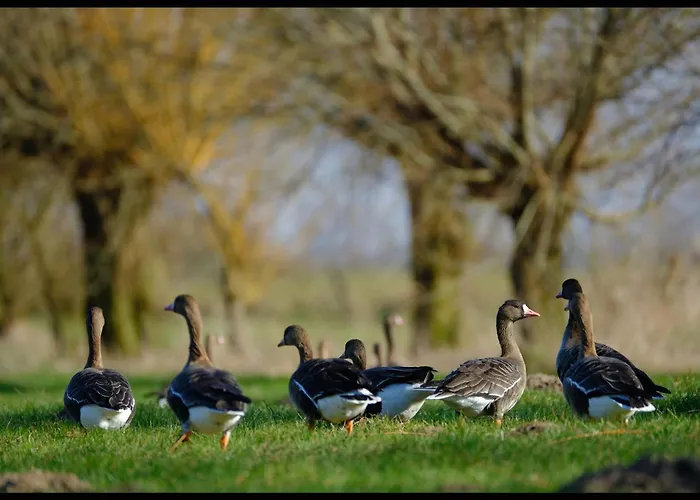 Urlaub Im Historischen Torschreiberhaus *